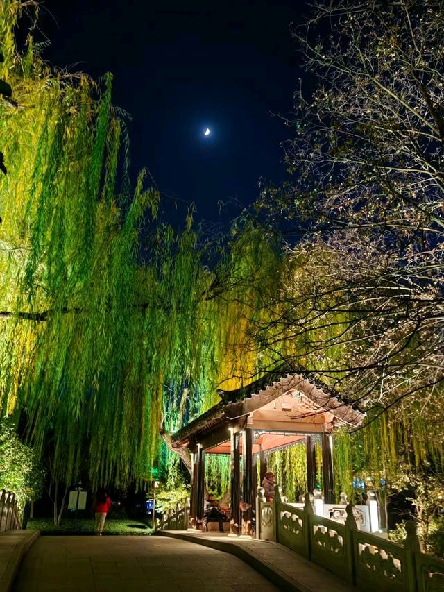 夜色大明湖（图4）