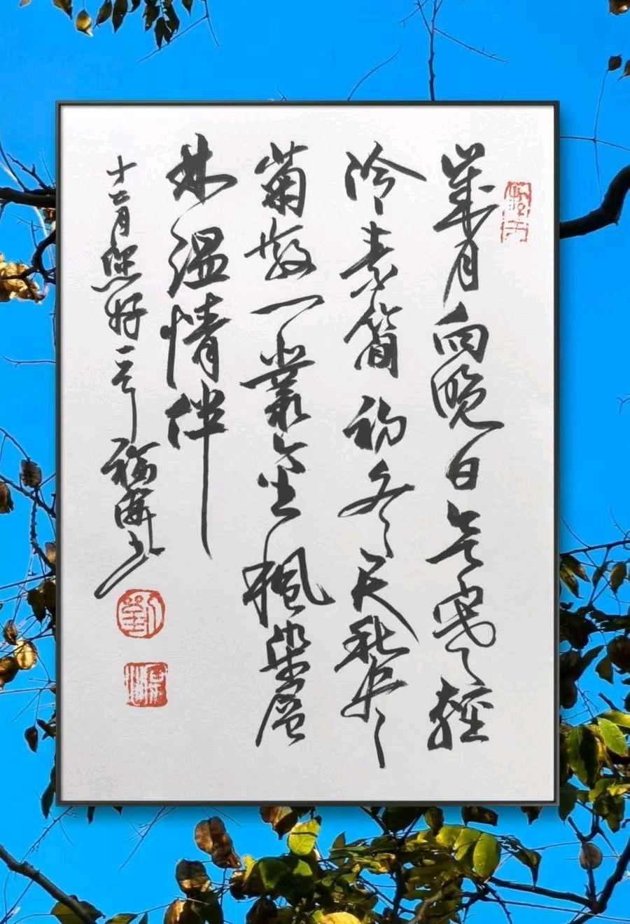 惜别11月.拥抱12月[庆祝]
