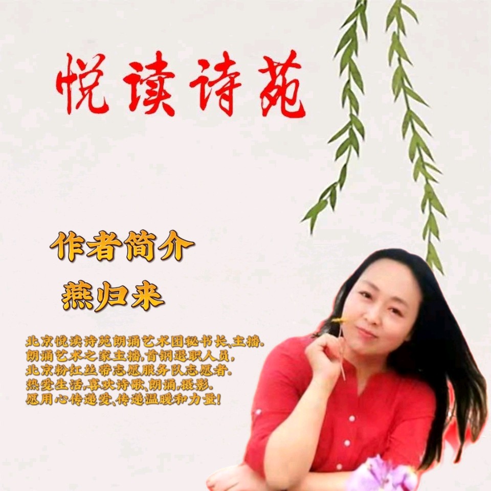 【相遇】作者燕归来 朗诵者香悦（图3）