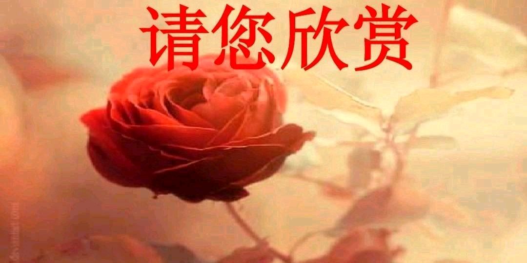 七律.泰安颂（中华新韵） 作者：李传政