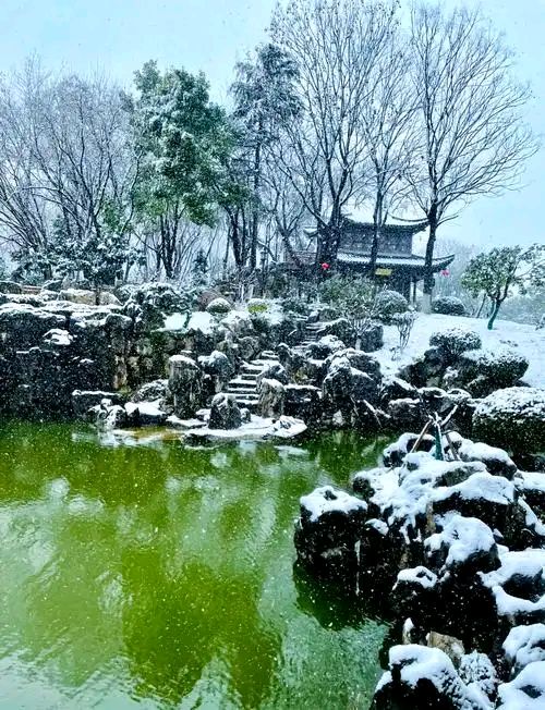【新山东文学社】《第一场雪》作者/农夫 主播/鲁怡秀凤(图5)