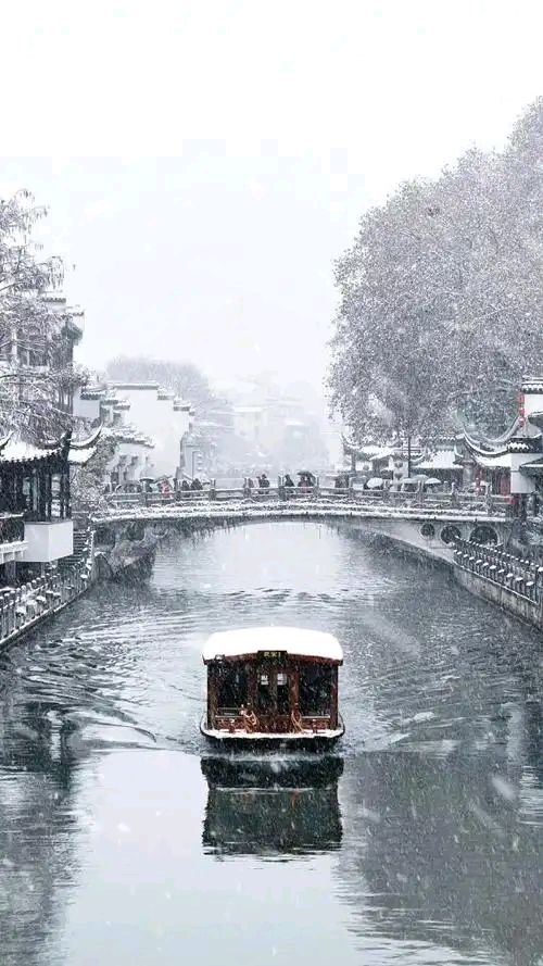 【新山东文学社】《第一场雪》作者/农夫 主播/鲁怡秀凤(图4)