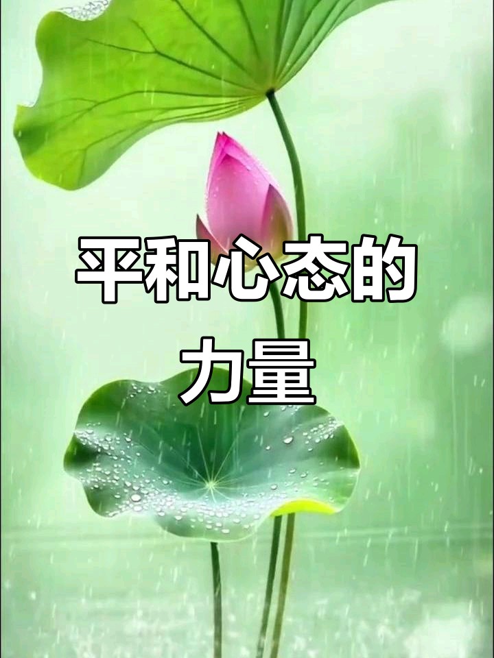 【新山东文学社】《活着,用一颗平常心》作者/迎夏 主播/菊心拾雨(图4)