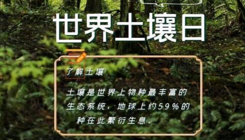【散文】《大地回响 大爱长明——双节同辉下的使命与守望》作者: 强军/陕西宝鸡(图14)