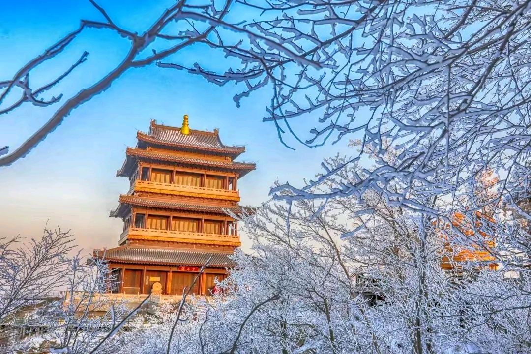 【荣耀中国】文学社*大雪作者/王富保(山西和顺)（图4）