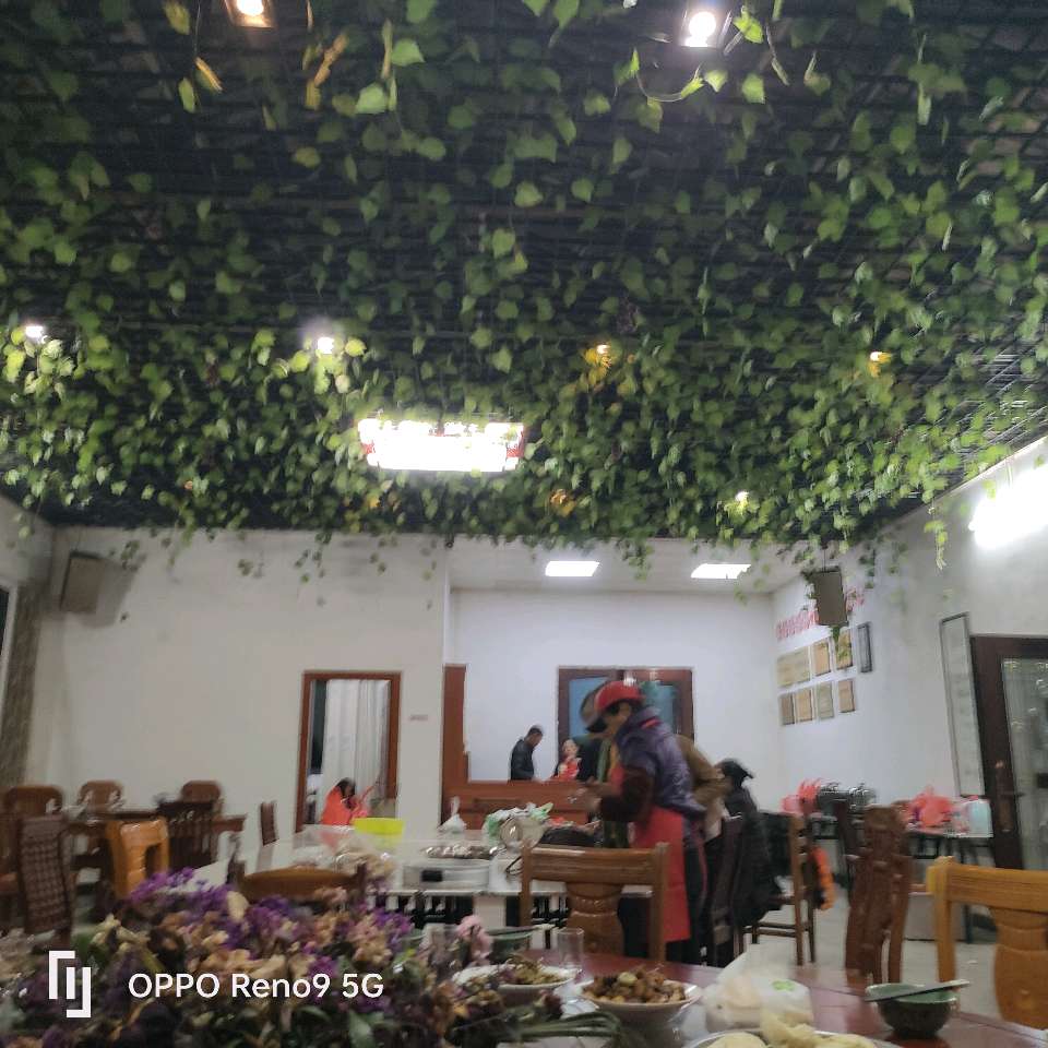 植迁亿携手赣南桃花岛打造大湾区康养后花园（图3）