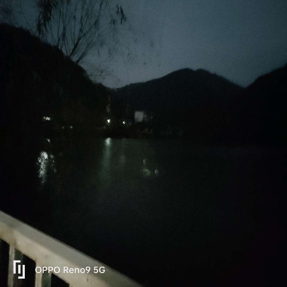 植迁亿携手赣南桃花岛打造大湾区康养后花园（图4）