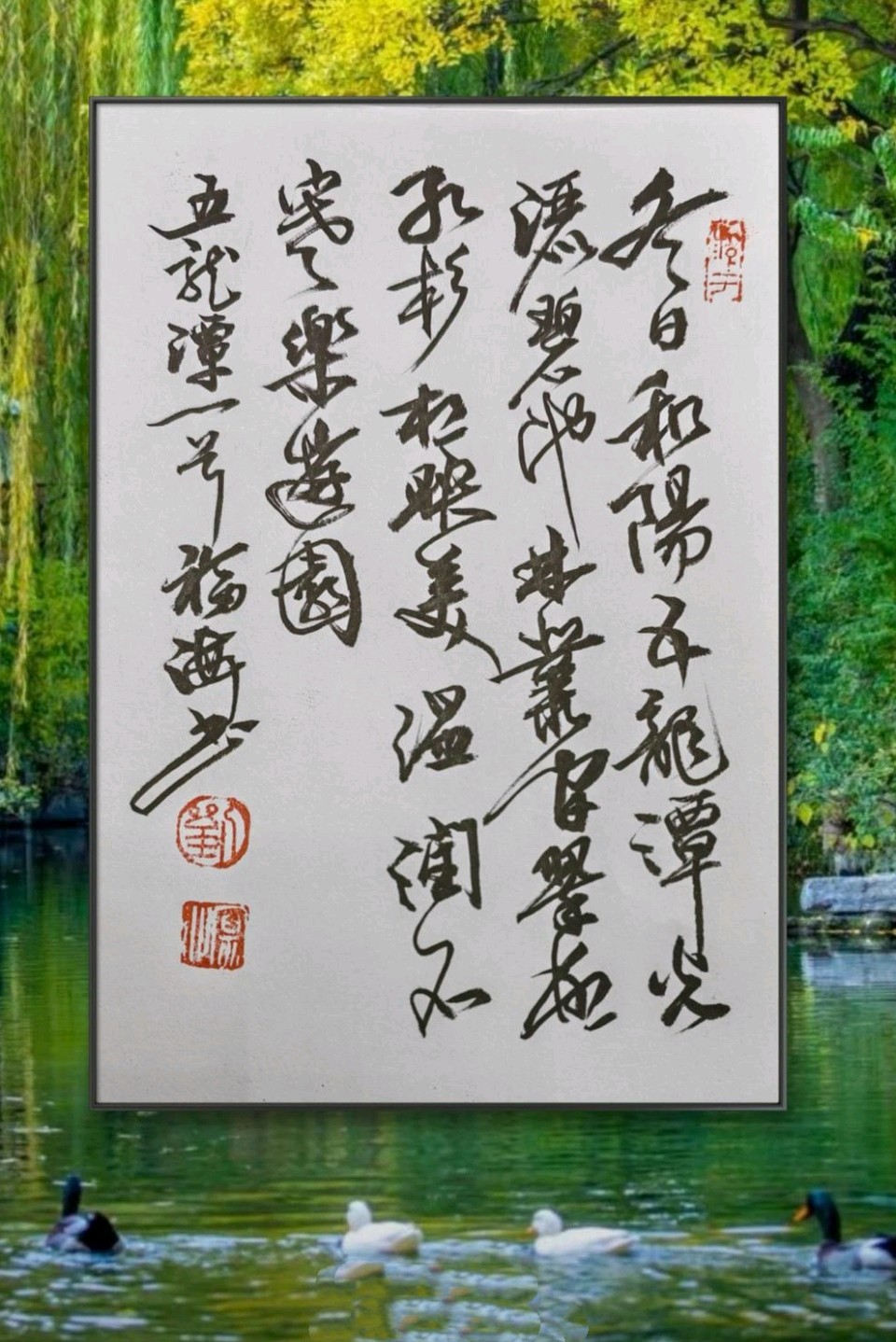 五龙潭的早晨