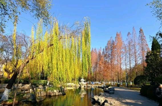五龙潭的早晨（图6）