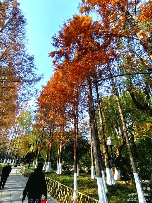 五龙潭的早晨（图3）
