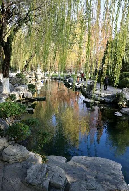 五龙潭的早晨（图10）