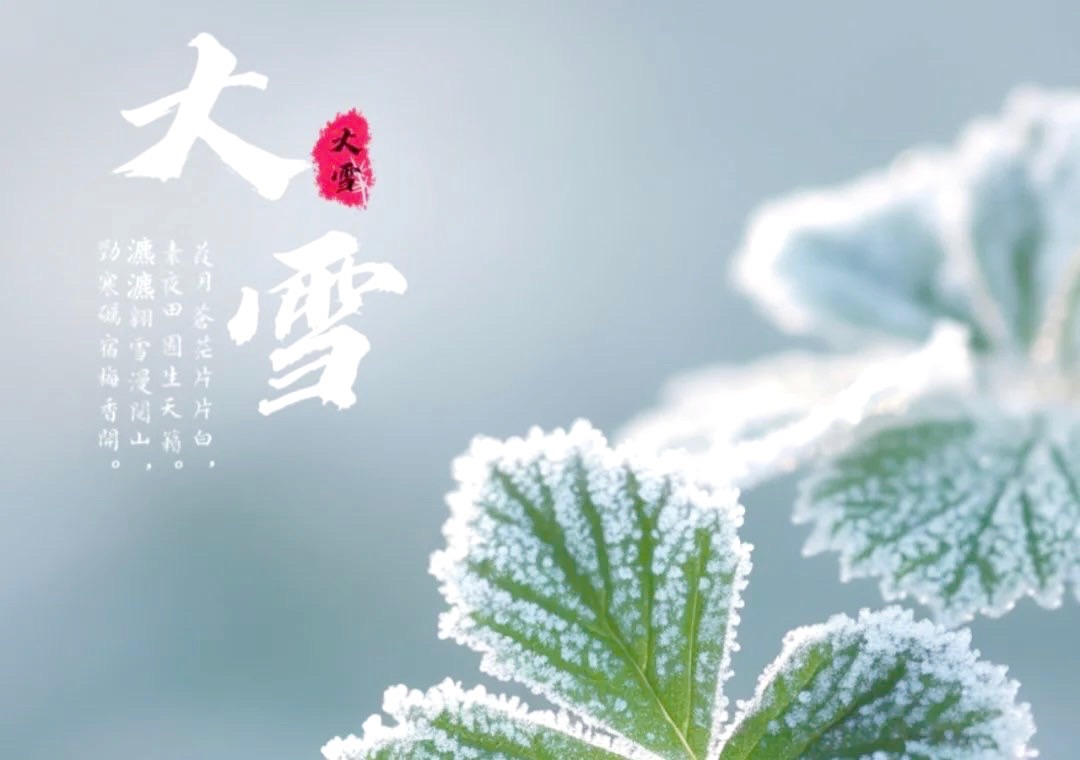 【新诗大观】大雪节气||文/张道发（图2）
