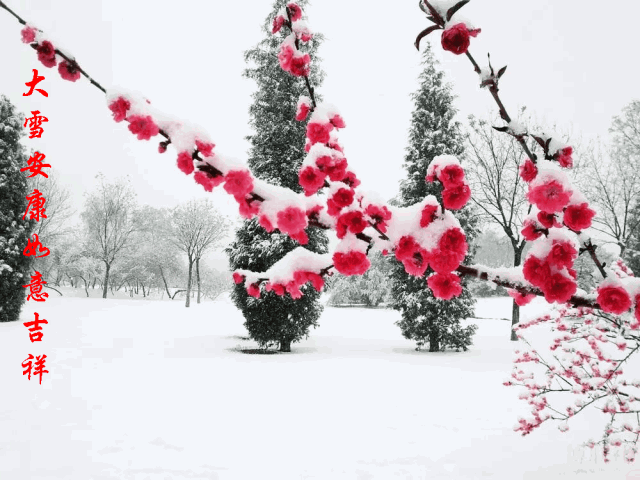 【大雪节气专刊】《中华好诗词、东方文学荟萃和天阳诗友会》联合呈献大雪主题优秀诗词作品专辑(图10)