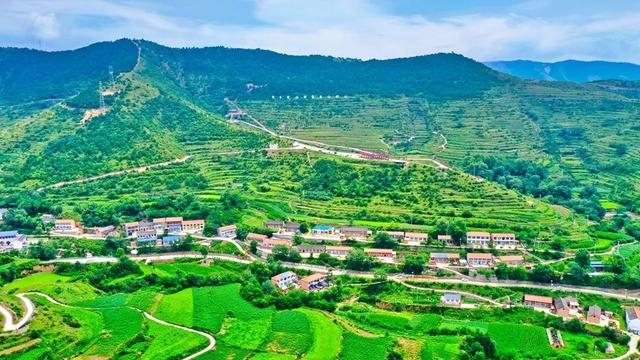 “中药材专业镇”平顺县现代农业产业园带来集聚效应（图10）