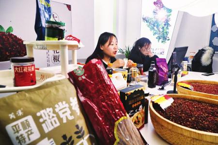 “中药材专业镇”平顺县现代农业产业园带来集聚效应（图4）