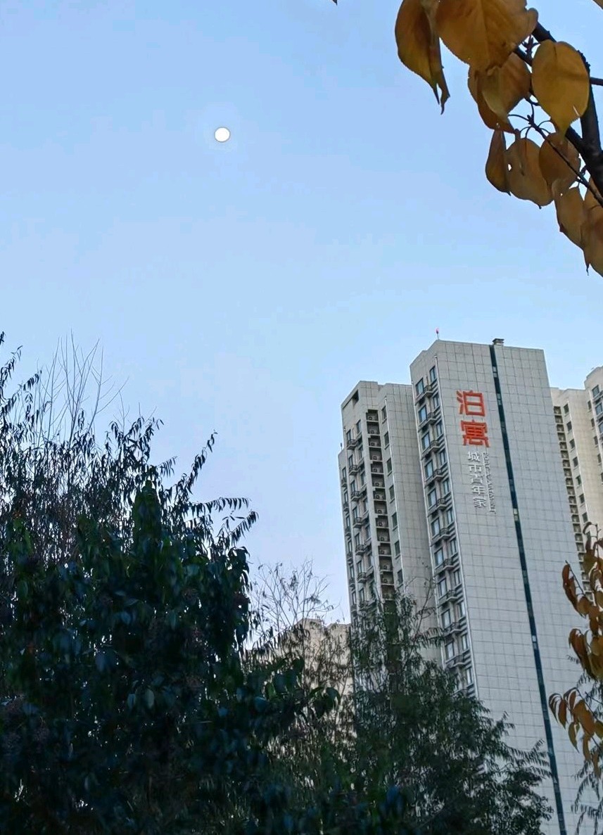 家园晓月🌙（图5）