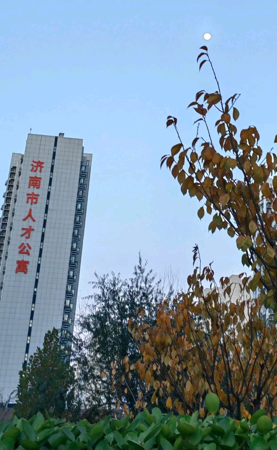 家园晓月🌙（图8）