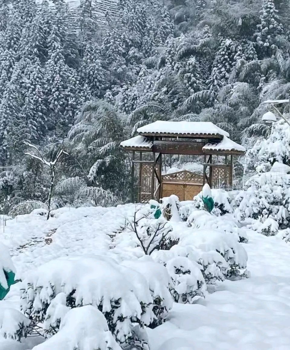 【荣耀中国】深圳分社*优秀诗人李爱忠诗词专辑第1期（图10）