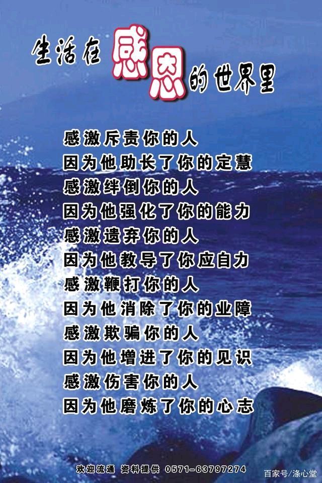 感恩有你，岁月生暖（图4）