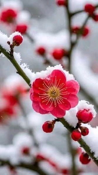 夜访赵凯老师 文/谦坤 图/灵芝梅 晋粤传奇平台（图7）