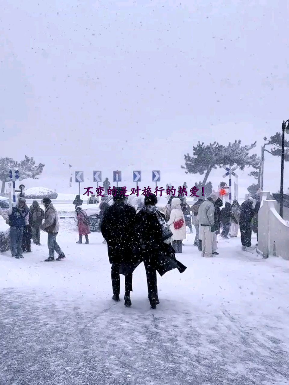 【新山东文学社】《多想，和你一起去看雪》作者/大浪淘沙 主播/海豚（图6）