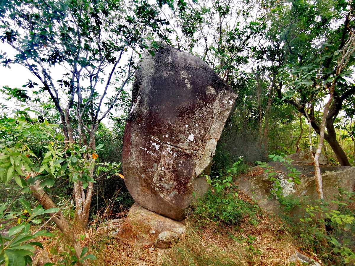 一览众山小（图3）