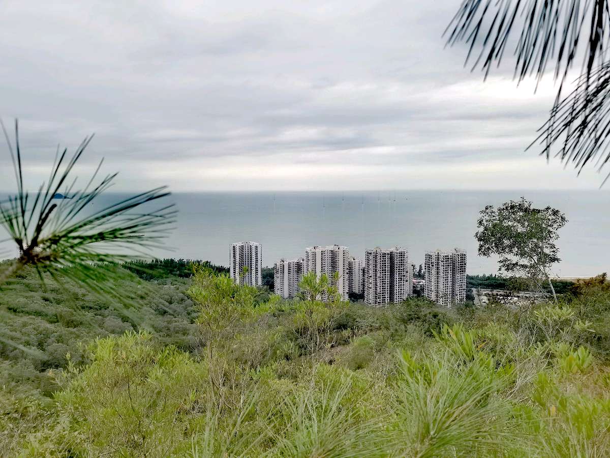 一览众山小（图9）