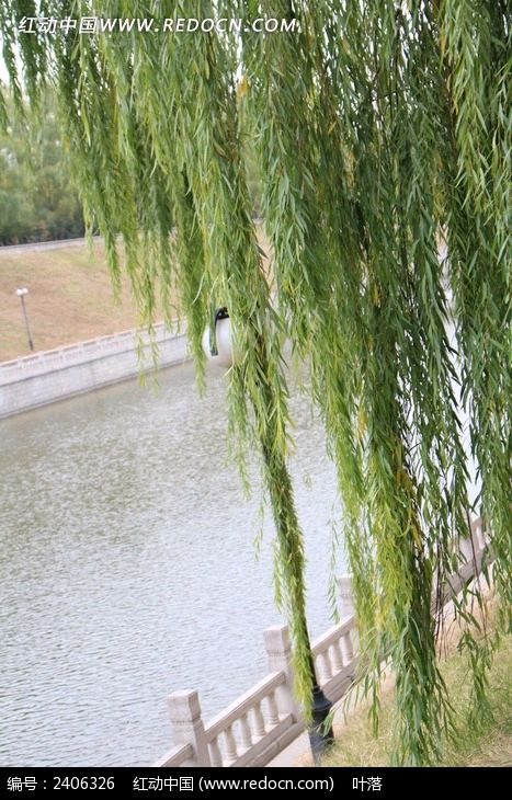 【荣耀中国】深圳分社*优秀诗人詹家洪诗词欣赏（图8）
