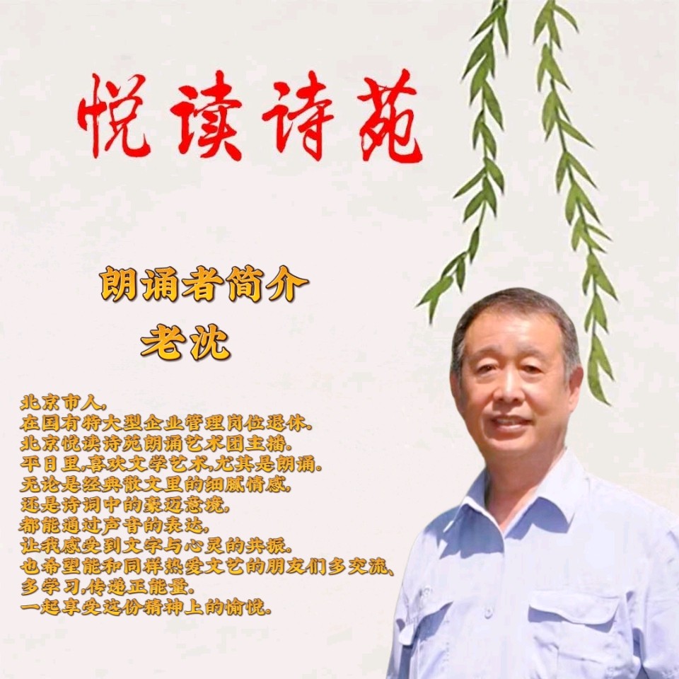【万马奔腾中国年】作者雷金钟 合诵老沈 未央（图7）