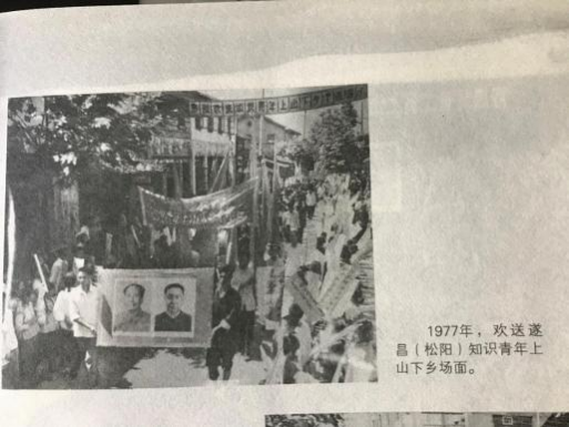 微信图片_20251211083933_159_475 微信图片_20251211083933_159_475