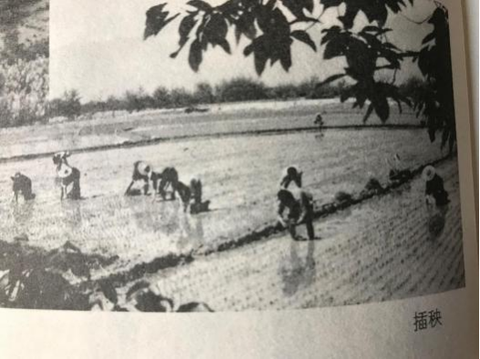 微信图片_20251211084000_160_475 微信图片_20251211084000_160_475
