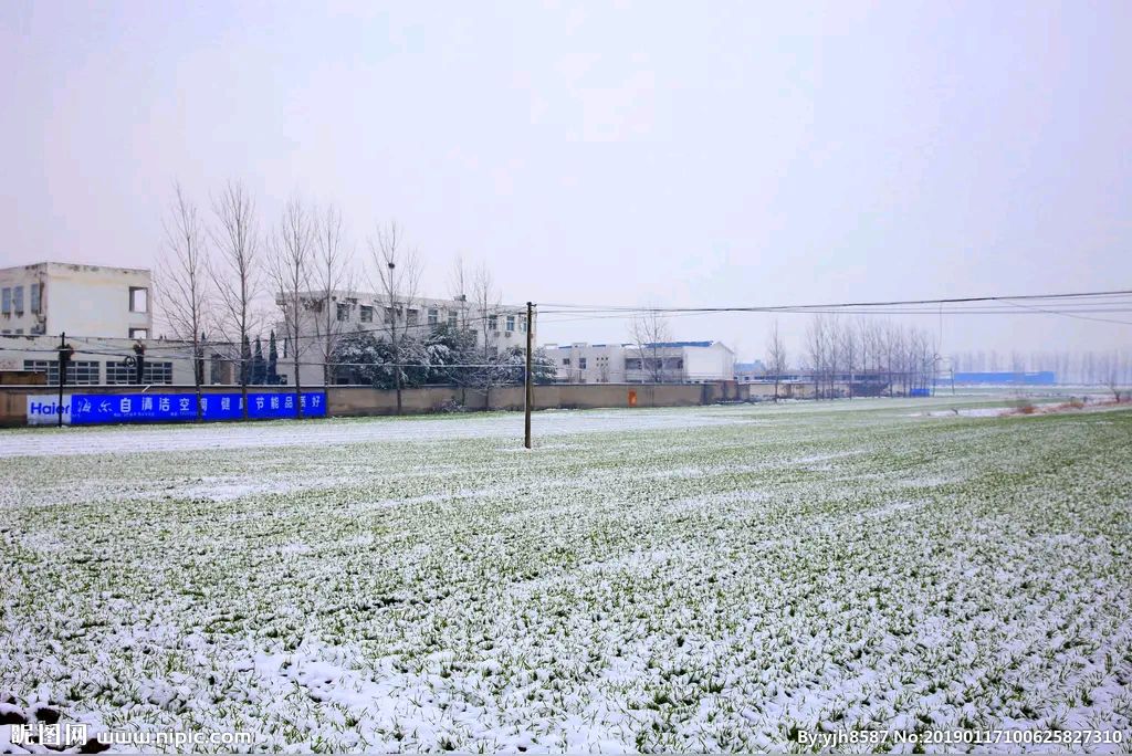 【燕赵文学】散文：下雪的日子（河北/王新军）（图3）