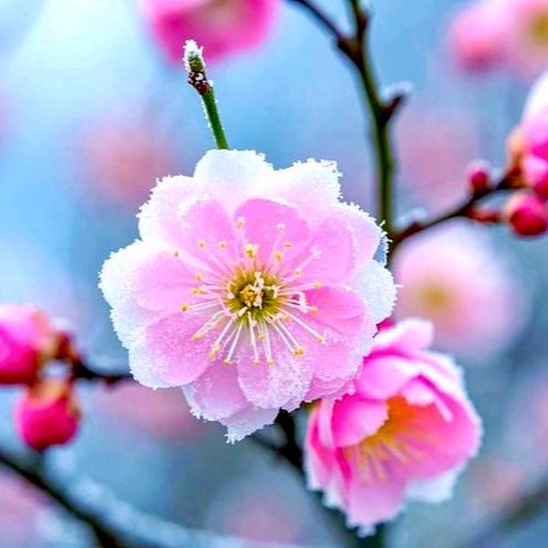 ❤️都市头条《江南文学》第1266期隆重推介潘保琼、龙建华等19位特约诗人诗词作品合集（增刊）（图28）