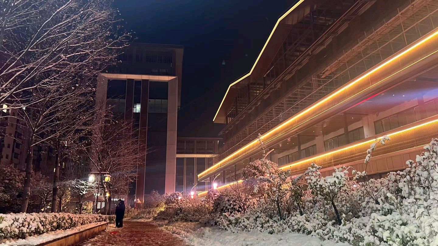 【雪】诗两首/白凤岭（图2）