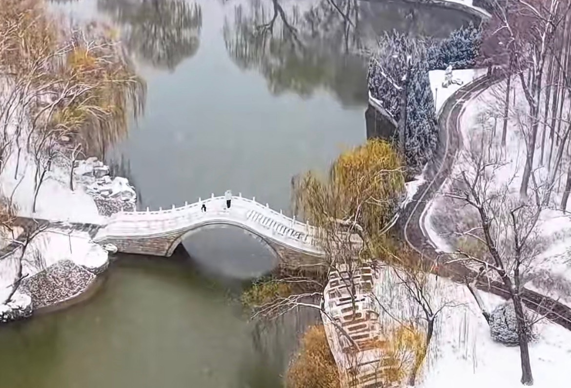 【新诗大观】写给大雪||文/姜振国（图5）