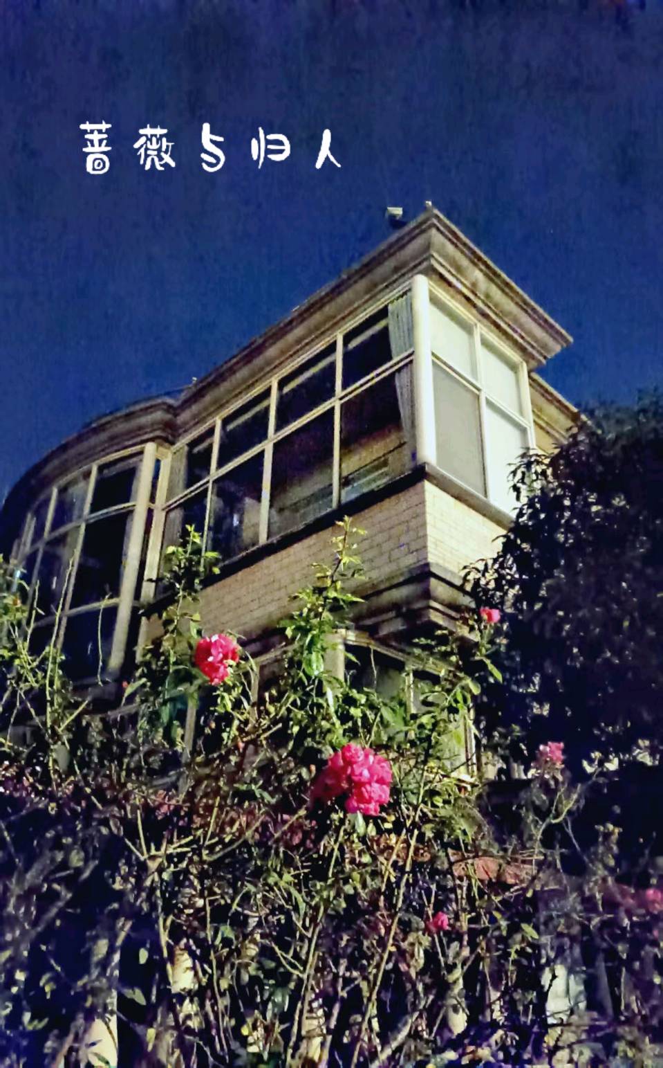 2025年度都市头条井冈山群优秀作者名单及作品展示(图132)