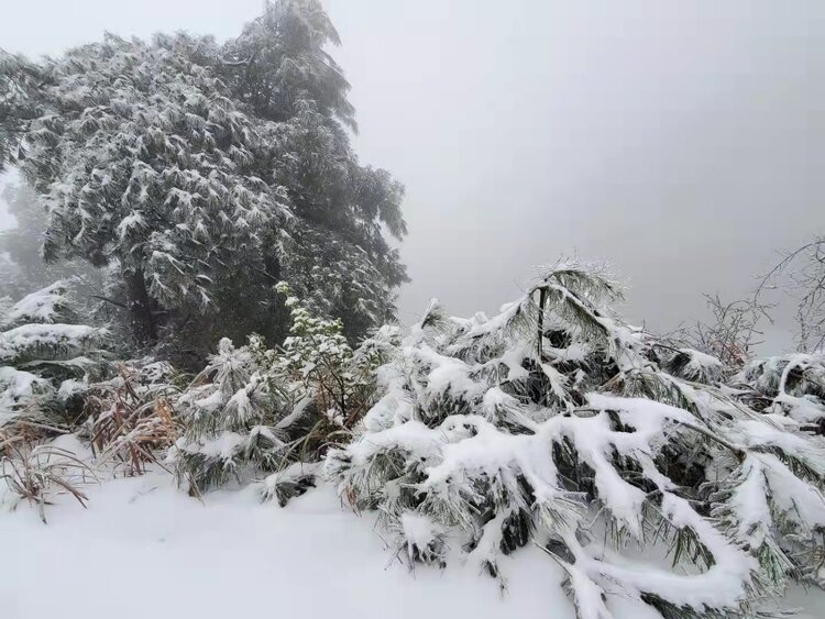 雪景（图2）