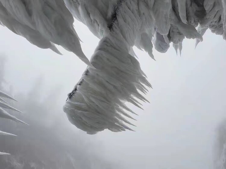 雪景（图3）