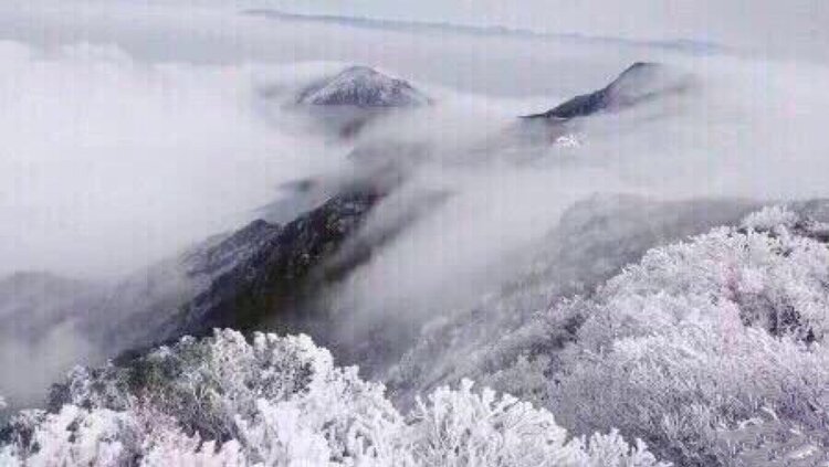 雪影（图2）