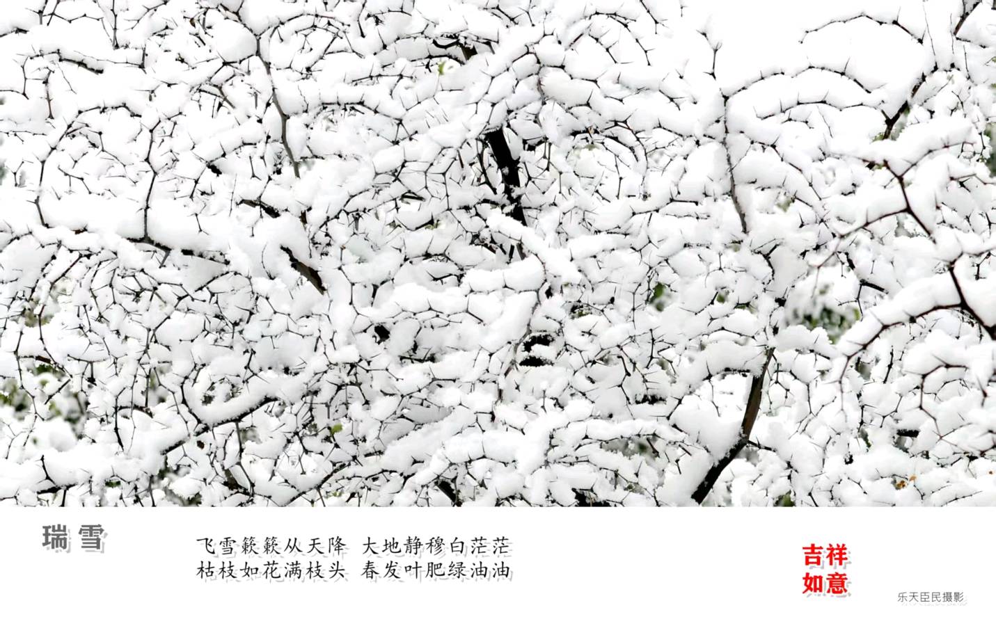 【贾鹏翼】冬天的信使二首（图3）