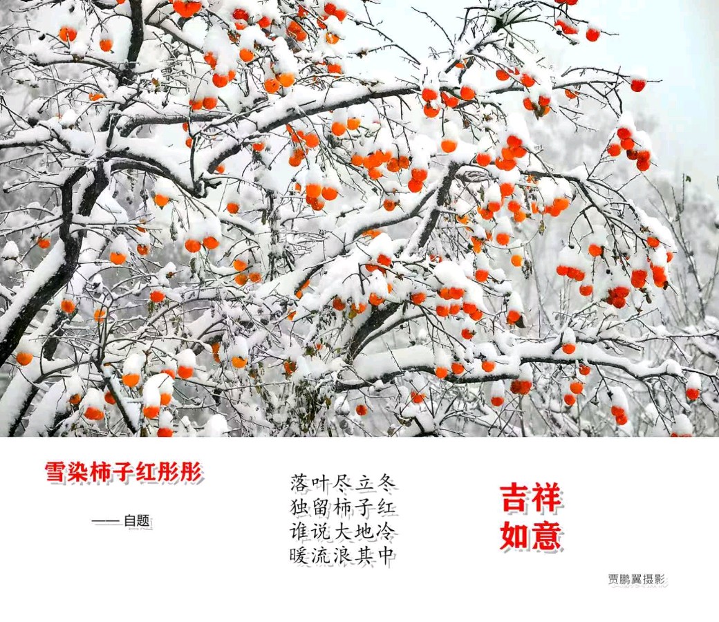【贾鹏翼】冬天的信使二首（图4）