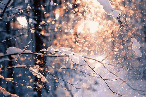 七绝·雪落【外一首】 作者:王建（图3）