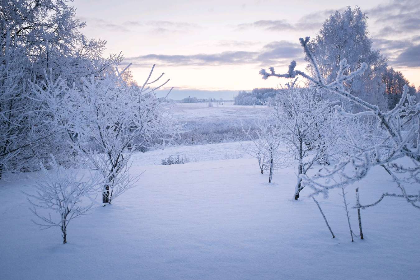 雪后 作者:张满海（图2）