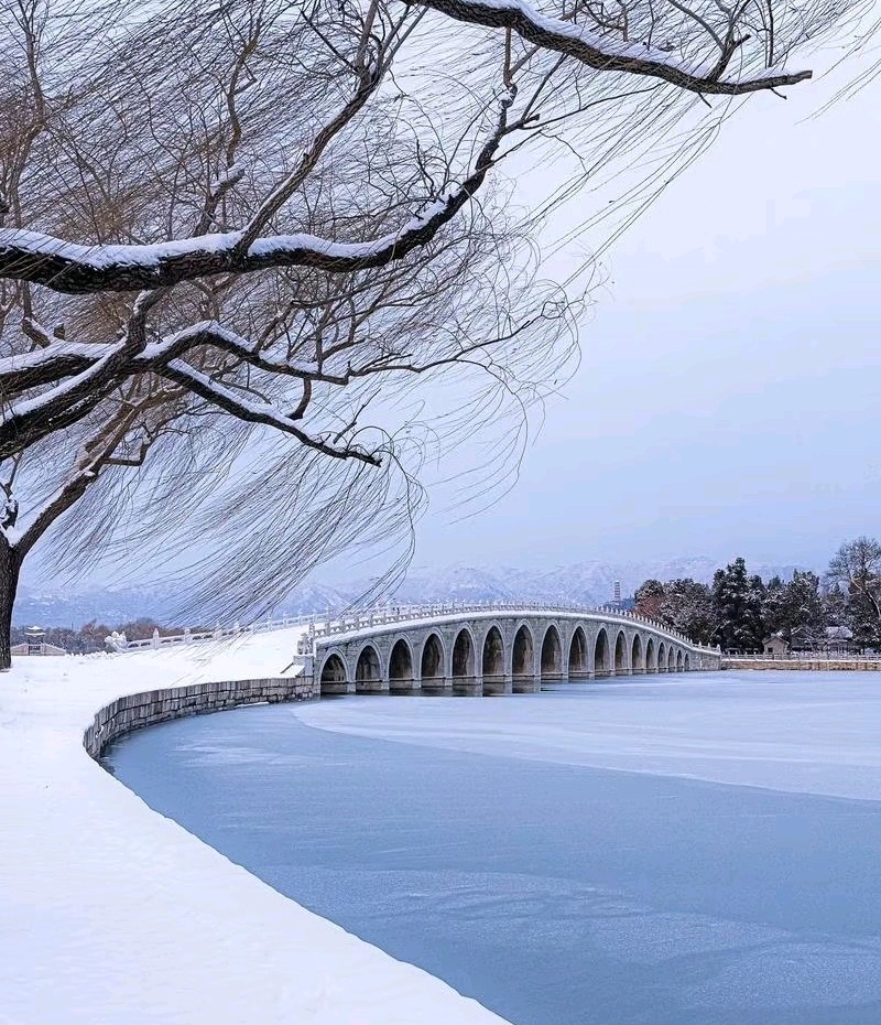 【大雪，盼望】作者任学路 朗诵者文娟