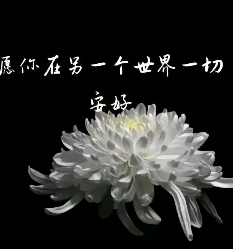 《慈母十年祭》作者：回泉山人 朗读配音：魔音工坊 [中国现代诗歌文化传媒推荐]（图4）