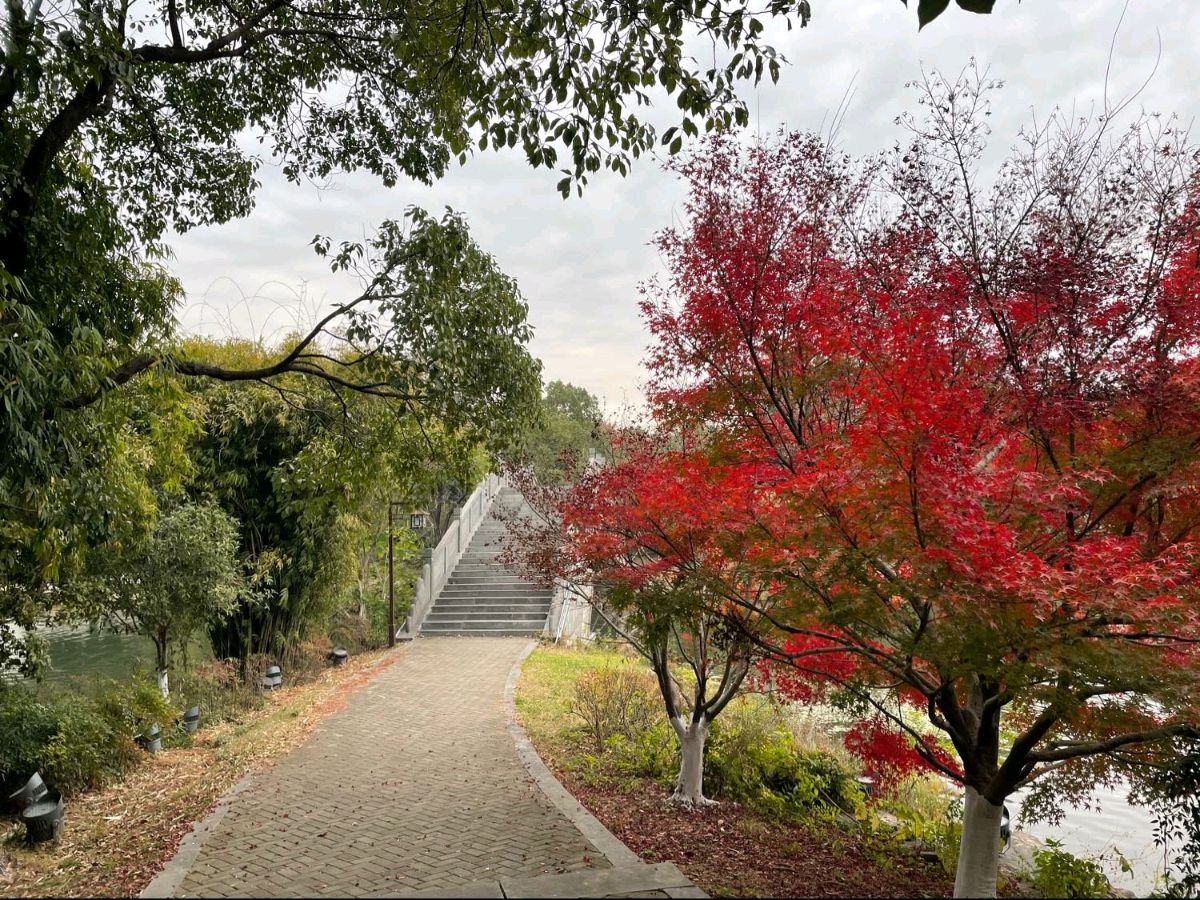 逛芮城