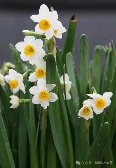 逛芮城（图7）