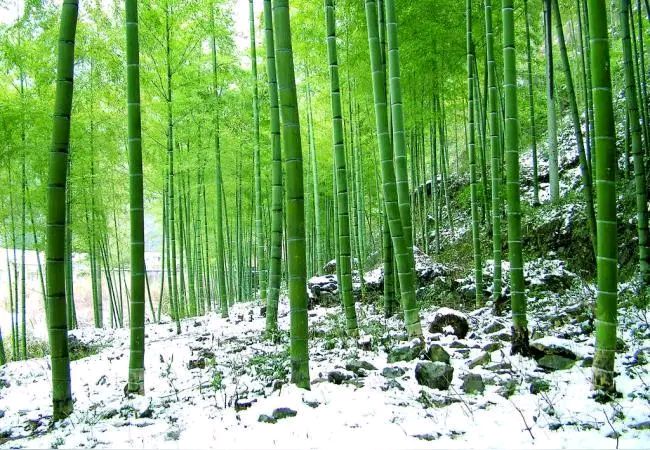 《刘文波著名当代诗人创作当代古诗词七律，二首》作者：刘文波 [中国现代诗歌文化传媒推荐]（图5）