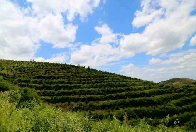 《栗江赋》（图15）