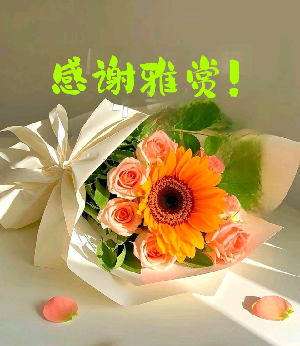 精品散文:《神仙水》 作者/千里阳 主播/云水禅心（图10）